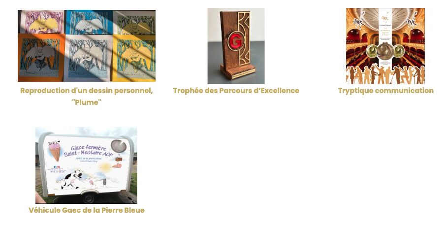 Image réalisation concours icona d'or jeune 2026 3