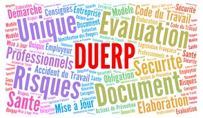 duerp 2